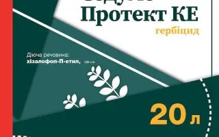 Седумо Протект