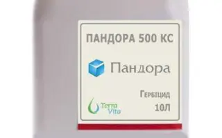 ПАНДОРА 500