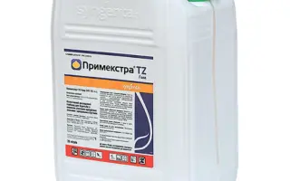 СМ П-ГОЛД ТЗ