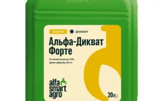Агрітус
