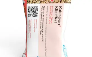 Клінефект, ВГ, гербіцид (імазамокс, 700 г/кг)