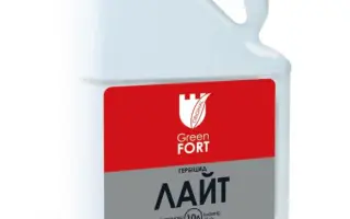 Грінфорт Лайт