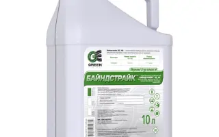 БАЙНДСТРАЙК ЭС