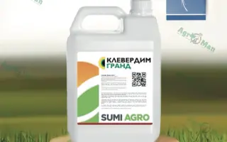 Клевердим Гранд