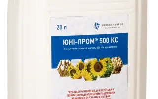ЮНІ-ПРОМ 500