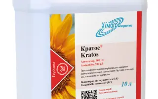 Атлантікс, КЕ (ацетохлор, 900 г/л)