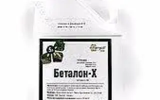 Беталон-Х, КЕ (десмедифам, 71 г/л + фенмедифам, 91 г/л + етофуме