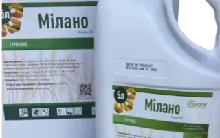 Мілано, КС (нікосульфурон, 40 г/л)