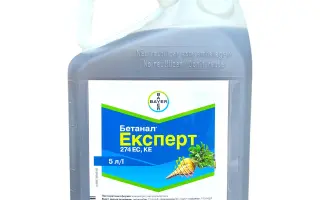 Бетанал Експерт 274 EC