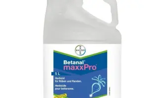 Бетанал Макс Про 209 OD