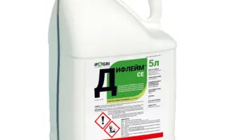 Дифлейм, СЕ