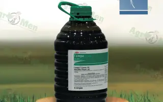 ГАЛЕРА Супер, РК