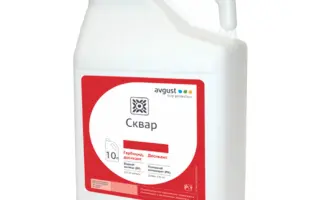 Сталварт (Stalwart)