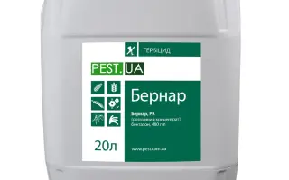 Бернар, РК (бентазон, 480 г/л)