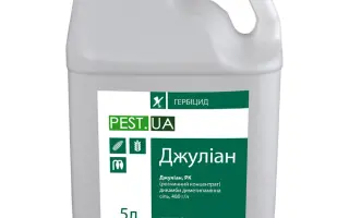 Джуліан, РК (дикамби диметиламінна сіль, 480 г/л)