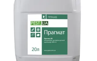 Прагмат, КЕ (ацетохлор, 900 г/л)