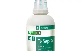 Тиберій, ВГ (тифенсульфурон-метил, 500 г/кг + трибенурон-метил,