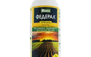 Федерал, РК (гліфосату ізопропіламінна сіль, 480г/л + дикамба, 6