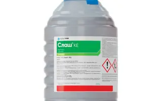 Слаш, КЕ (Slash, EC)