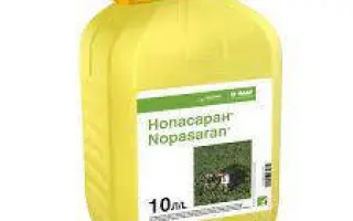 Нопасаран, КС (метазахлор, 375 г/л + имазамокс, 25 г/л)