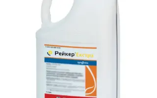 Рейнлід Екстра (Rainlid Xtra, WG)