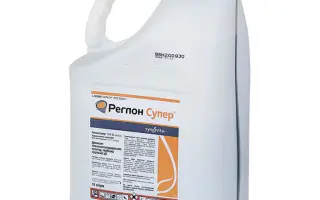 Рейнзон (Rainzone, SL)