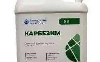 Кредо, КС (карбендазим, 500 г/л)