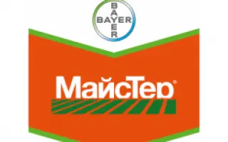 МайсТер 62 WG