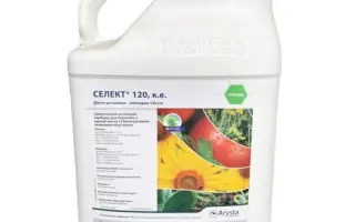 Селект® 120, КЕ (клетодим, 120 г/л)