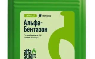 Бентаран, РК (бентазон, 480 г/л)