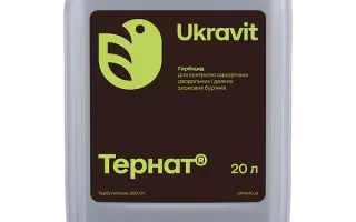 Терлан, КС (тербутилазин, 500 г/л)