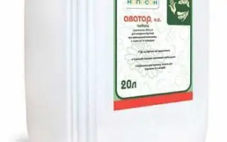 Аватар, КЕ (ацетохлор, 900 г/л)