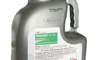 Ланцелот 450 WG