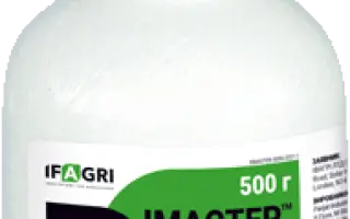 Рімастер, ВГ