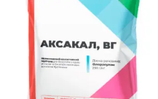 Аксакал, ВГ (флорасулам, 250 г/л)