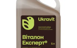 Віталон Експерт