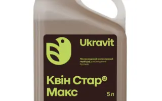 Квін Стар Макс