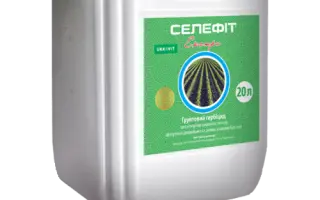 Селефіт, КС (прометрин, 500 г/л)