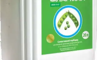 Флагман, РК (бентазон, 480 г/л)