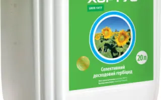 Хортус, КЕ (ацетохлор, 900 г/л)