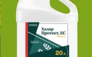 Хадар Протект