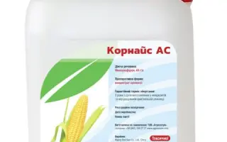 Корнайс АС, КС (нікосульфурон, 40 г/л)