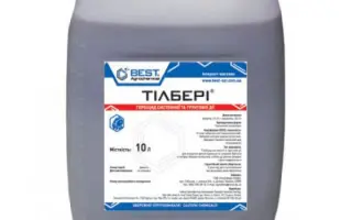 Тілбері, РК