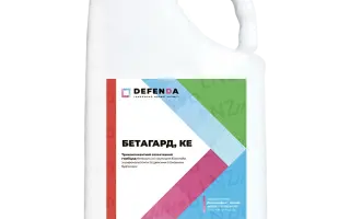 Бетагард, КЕ