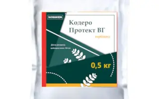 Кодеро Протект