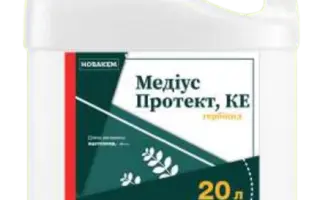 Медіус Протект