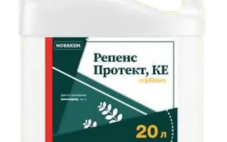 Репенс Протект