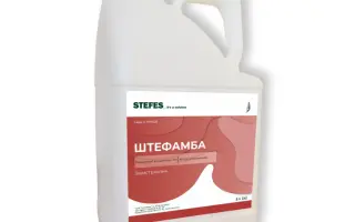 Штефамба, РК (дикамба у формі диметиламінної солі, 480 г/л)