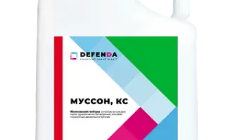 Муссон, КС (нікосульфурон, 40 г/л)