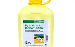 Бутізан®400, КС